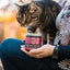 Dr. Maggie Paw Protector Protective Paw Wax for Dogs & Cats  Dog Health Care  | PetMax Canada