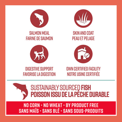 Nourriture pour chats Lifetime Farine de saumon et flocons d'avoine