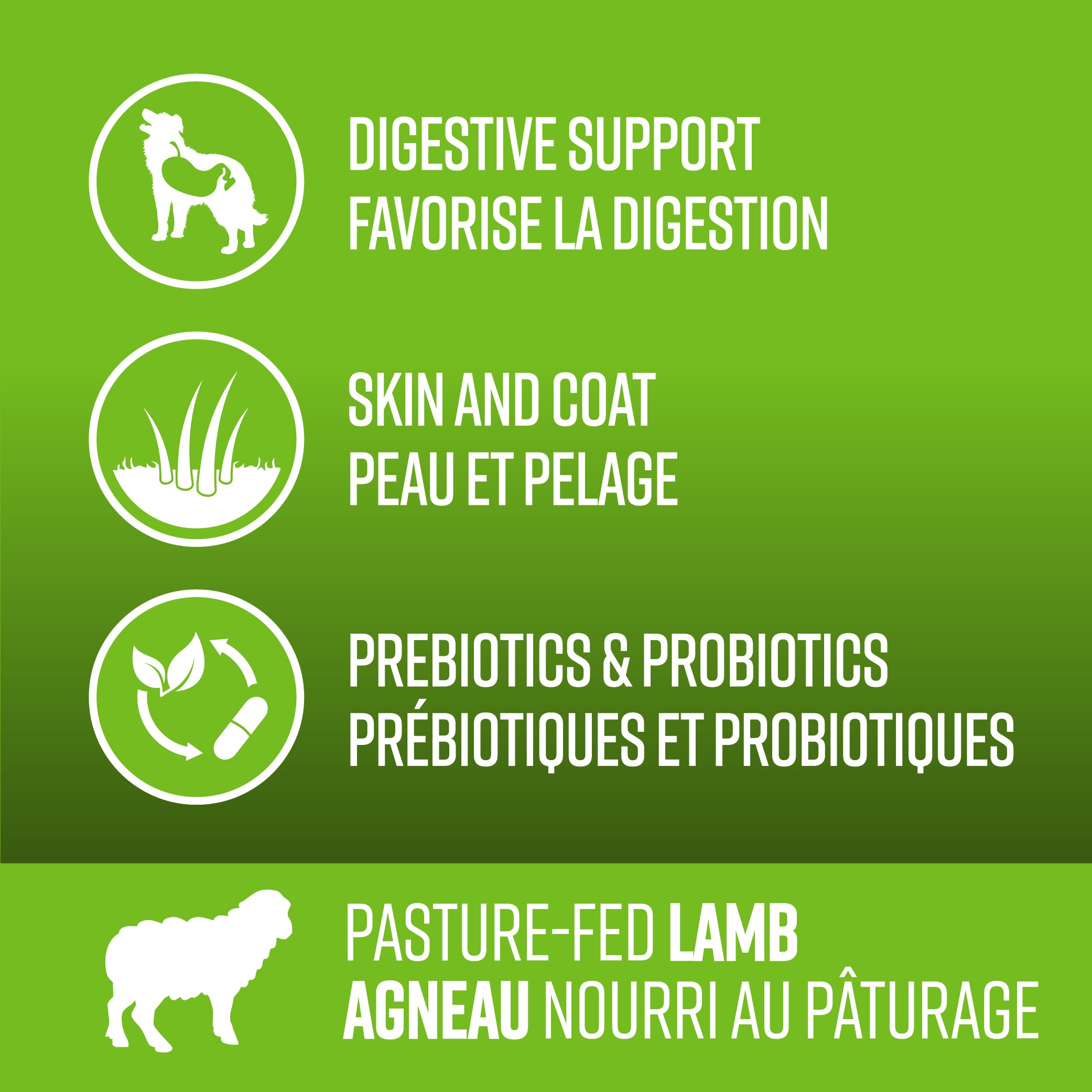 Nourriture pour chiens Lifetime Agneau nourri au pâturage sans céréales