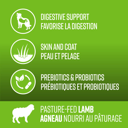 Nourriture pour chiens Lifetime Agneau nourri au pâturage sans céréales