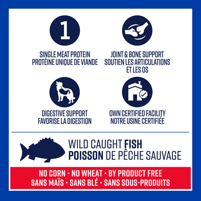 Lifetime All Life Stages Nourriture pour chiens de grandes races Farine de poisson et flocons d'avoine