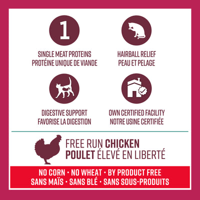 Lifetime Cat Food Adulte Intérieur Poulet et Flocons d'Avoine