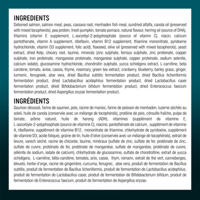 Wholesome Blend Dog Food Large Breed Mobility Care Recette de saumon et de citrouille