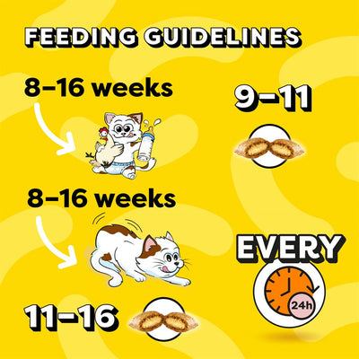 Temptations Kitten Cat Treats Chicken & Dairy Flavour