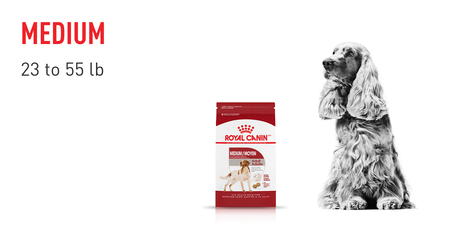 Royal Canin Size Health Nutrition Medium: Tailored Nutrition for Medium Dogs 23-55 lbs - Discover Our Premium Dog Food Now!