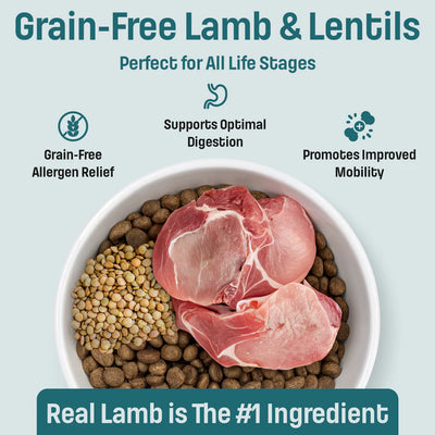 Nutram Total T26 Grain-Free All Life Stages Lamb & Lentils Recipe