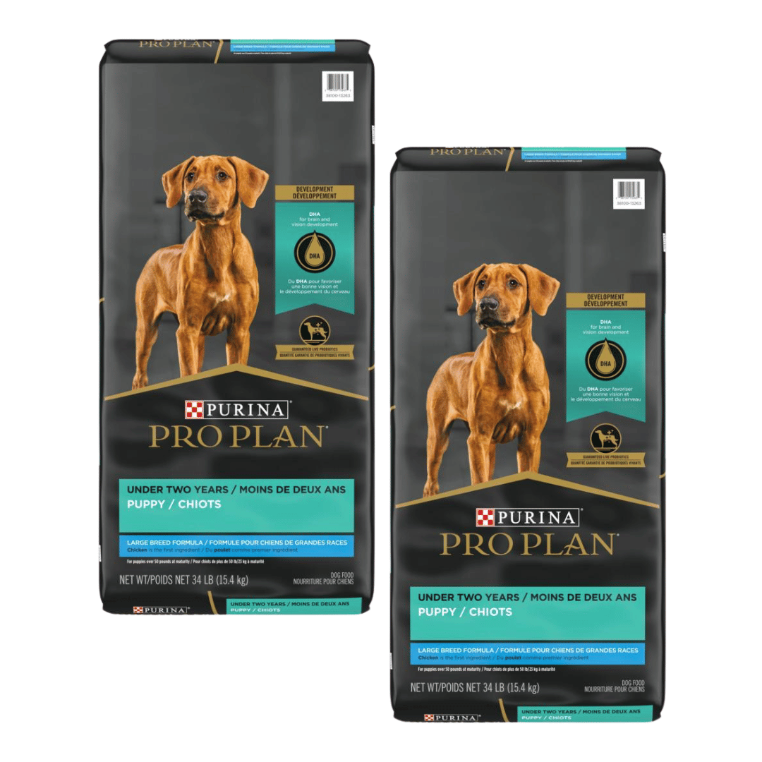 Purina Pro Plan Nourriture sèche pour chiots de grande race formule poulet et riz 