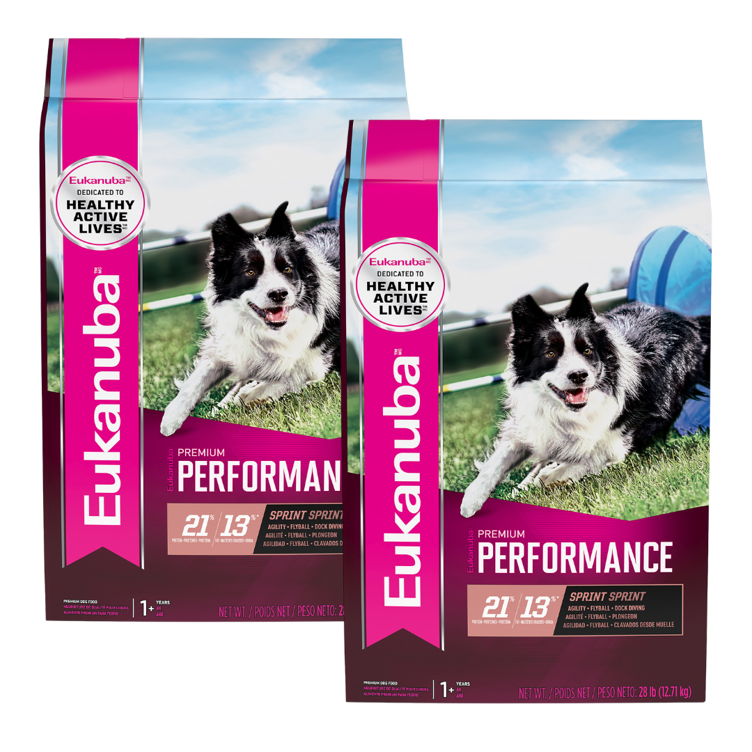 Eukanuba Premium Performance 21/13 Sprint Dry Dog Food