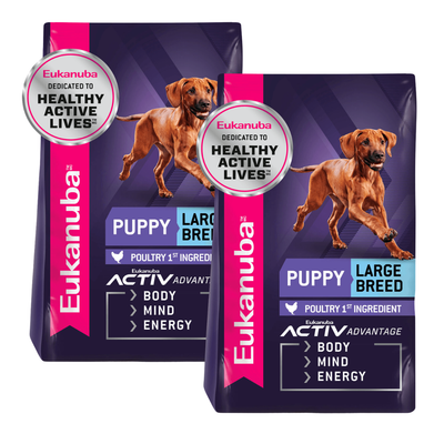 Eukanuba Puppy Food Large Breed