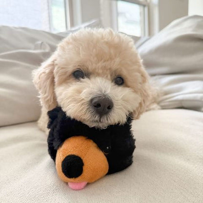 Tall Tails Plush Black Bear 2 in 1 Fetch Dog Toy