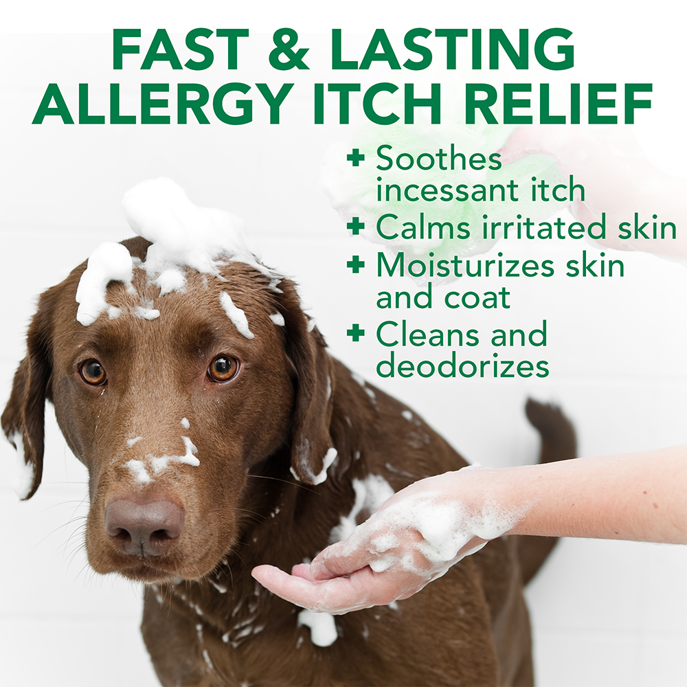 Vets Best Allergy Itch Relief Dog Shampoo
