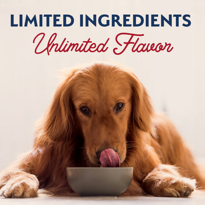 Natural Balance Limited Ingredient Reserve Bison & Sweet Potato Paté Wet Dog Food - 368g - lifestyle banner - dog eating from a bowl, 'Limited Ingredients, Unlimited Flavor' (1000x1000) - Natural Balance - PetMax Canada