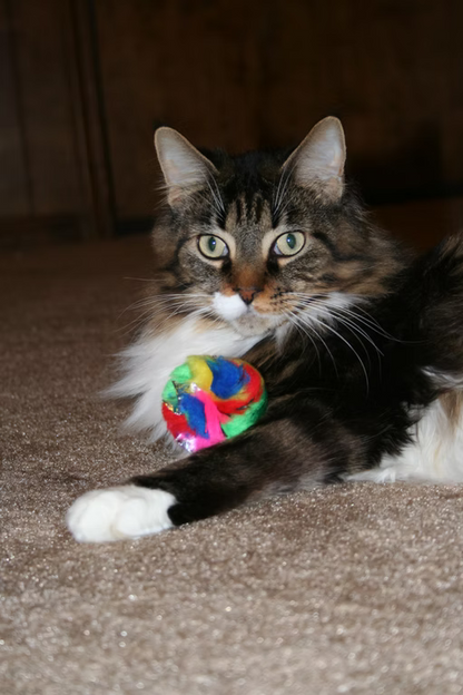 Jouet pour chat Boule froissée