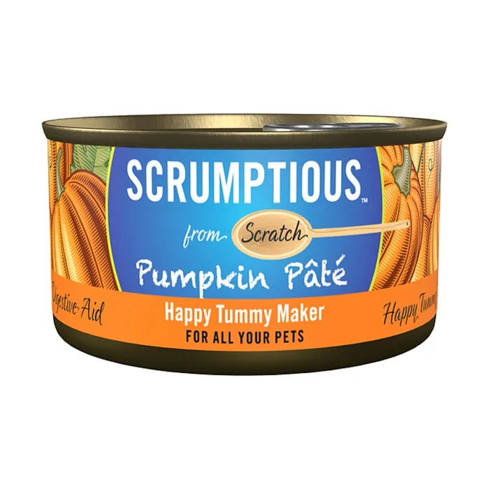 Scrumptious From Scratch Pumpkin Pate