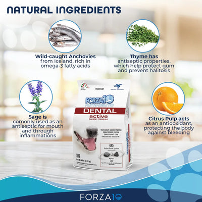 Forza10 Nutraceutic Active Oral Dry Dog Food