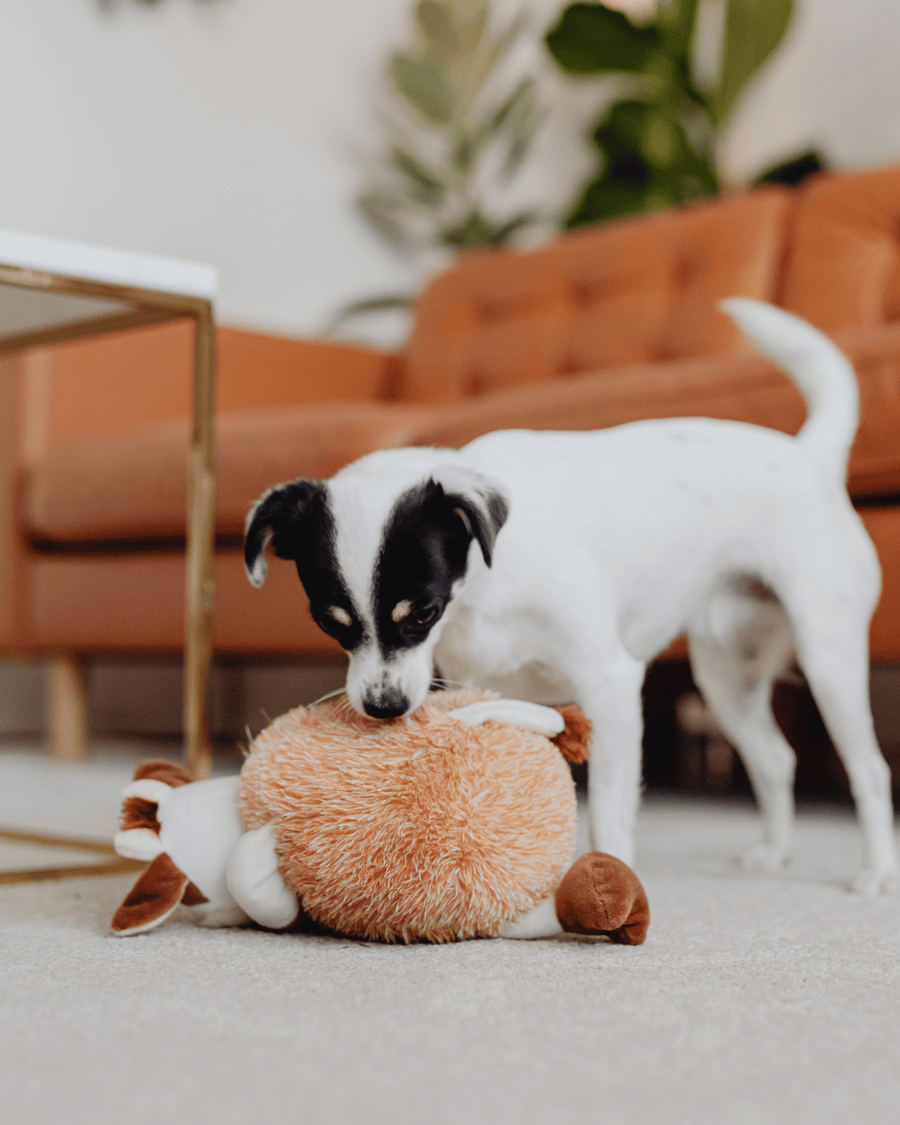 Dog toys
