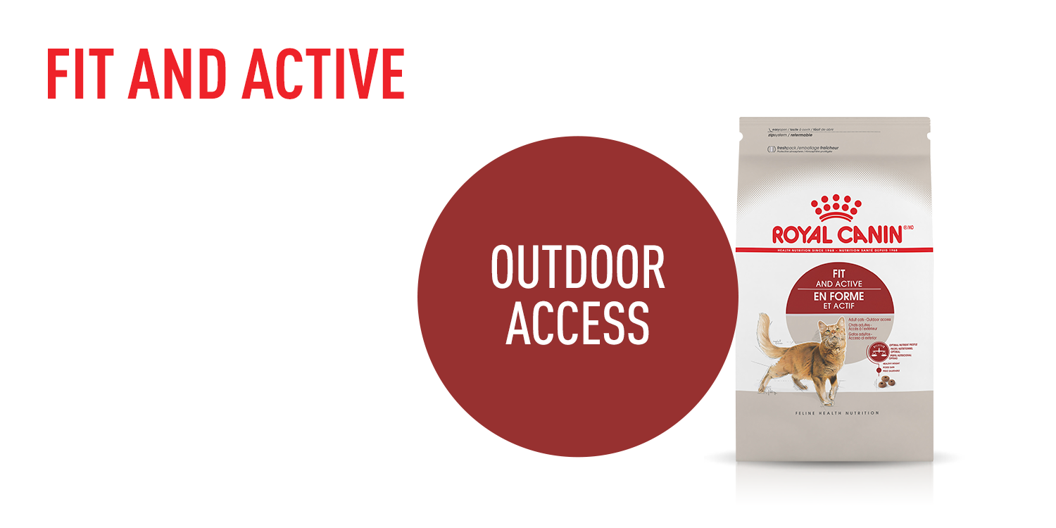 Royal Canin Lifestyle Cat Food For Cats with Outdoor Access