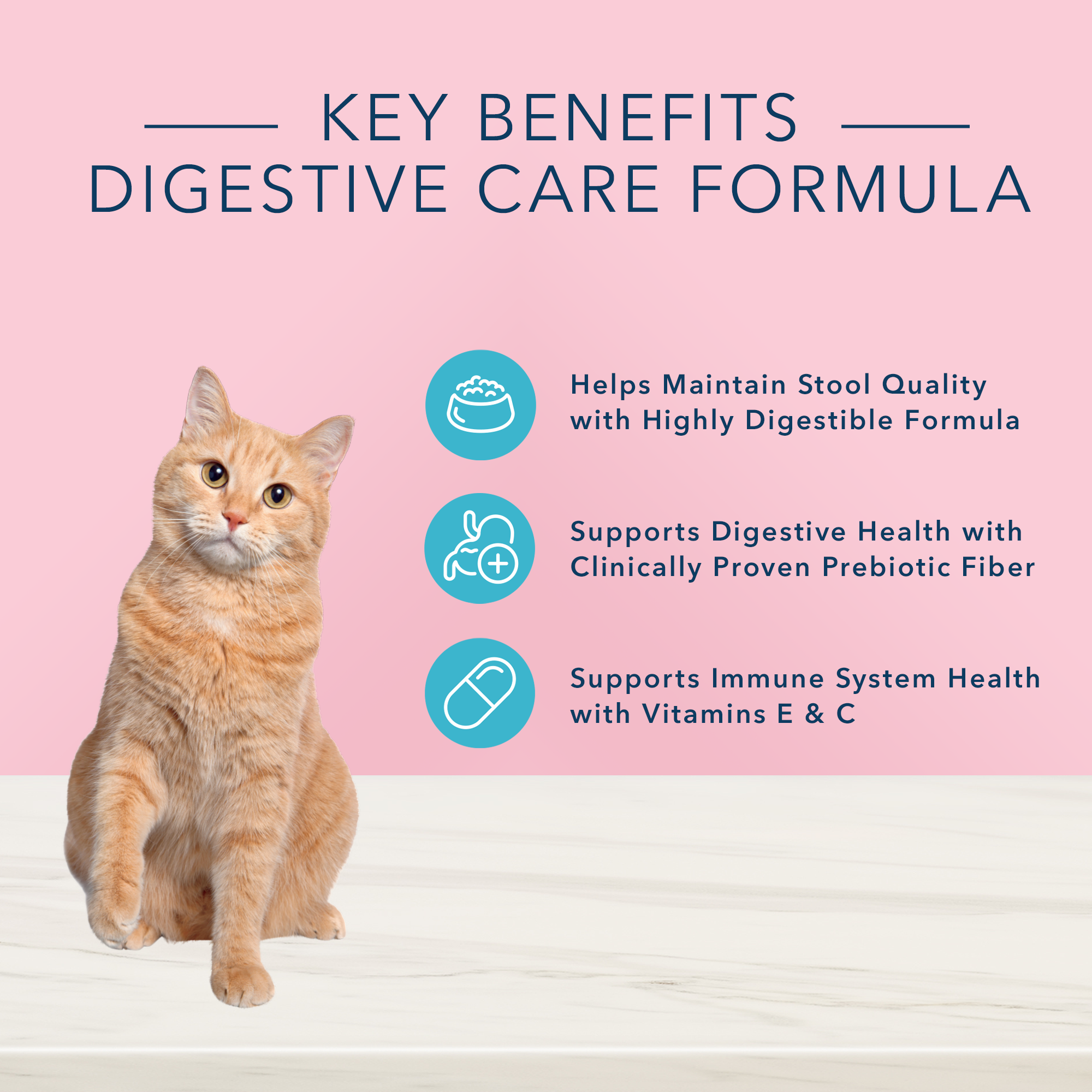 Blue True Solutions Canned Cat Food Digestive Care - Image 2 - Blue Buffalo - PetMax Canada
