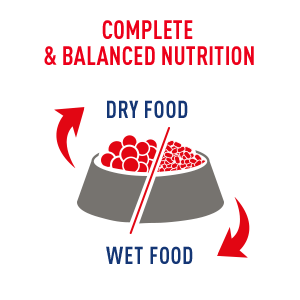 Royal Canin Lifestage Formulas Are Complete and Balanced Nutrition