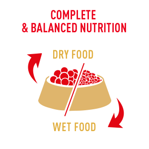 Royal Canin Breed Specific Formulas Are Complete and Balanced Nutrition