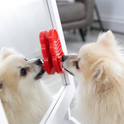 Kong Licks Dog Treat Lick Mat