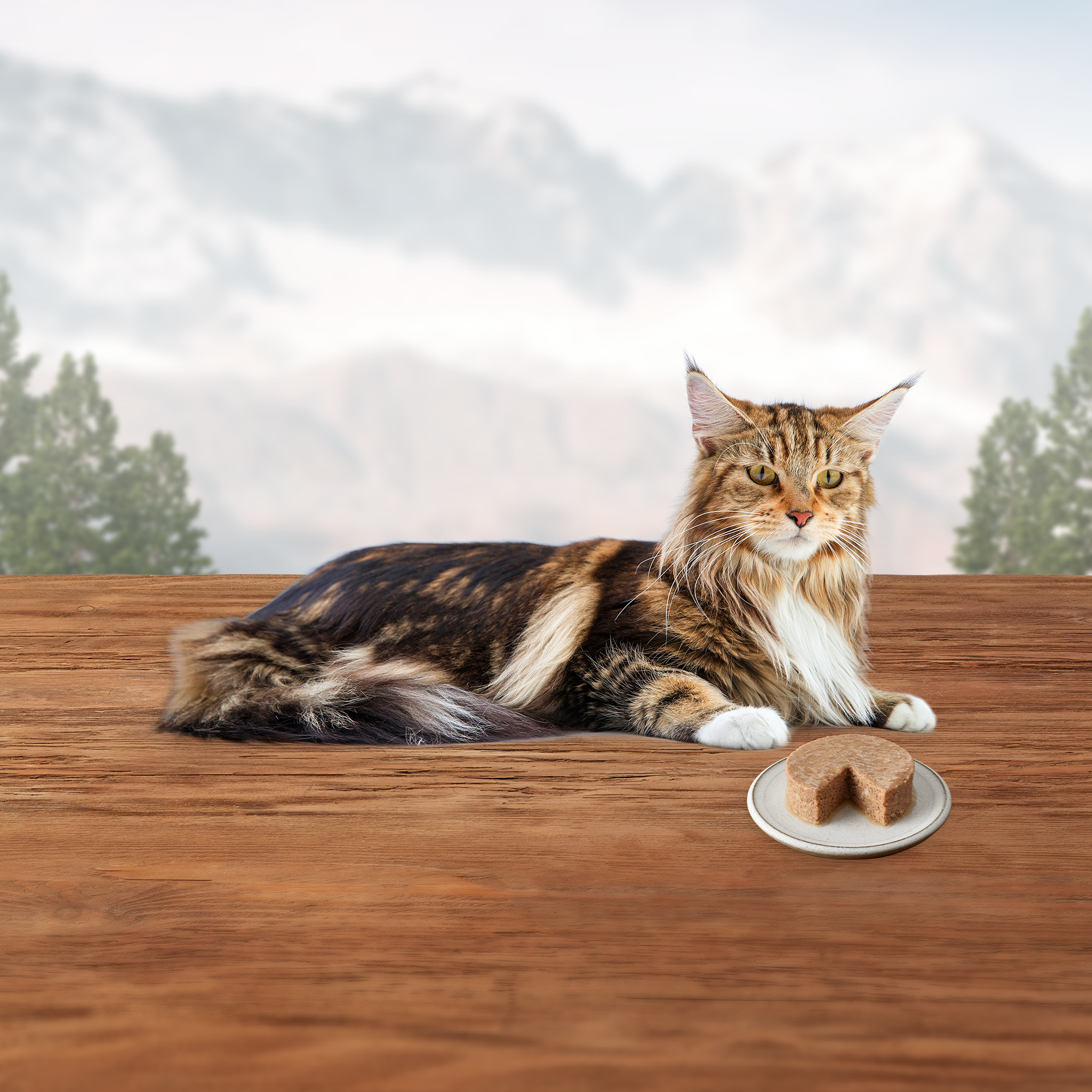 Blue Buffalo Wilderness Canned Cat Food Chicken - Image 6 - Blue Buffalo - PetMax Canada