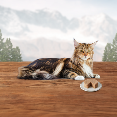 Blue Buffalo Wilderness Canned Cat Food Chicken - Image 6 - Blue Buffalo - PetMax Canada