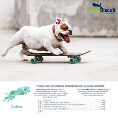 CannaBiscuit ProActive+ with BiovaFlex for Dogs