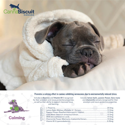 CannaBiscuit Calming with L-Theanine & Vitamin B12 for Dogs