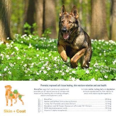 CannaBiscuit Skin & Coat with Collagen & Elastin for Dogs