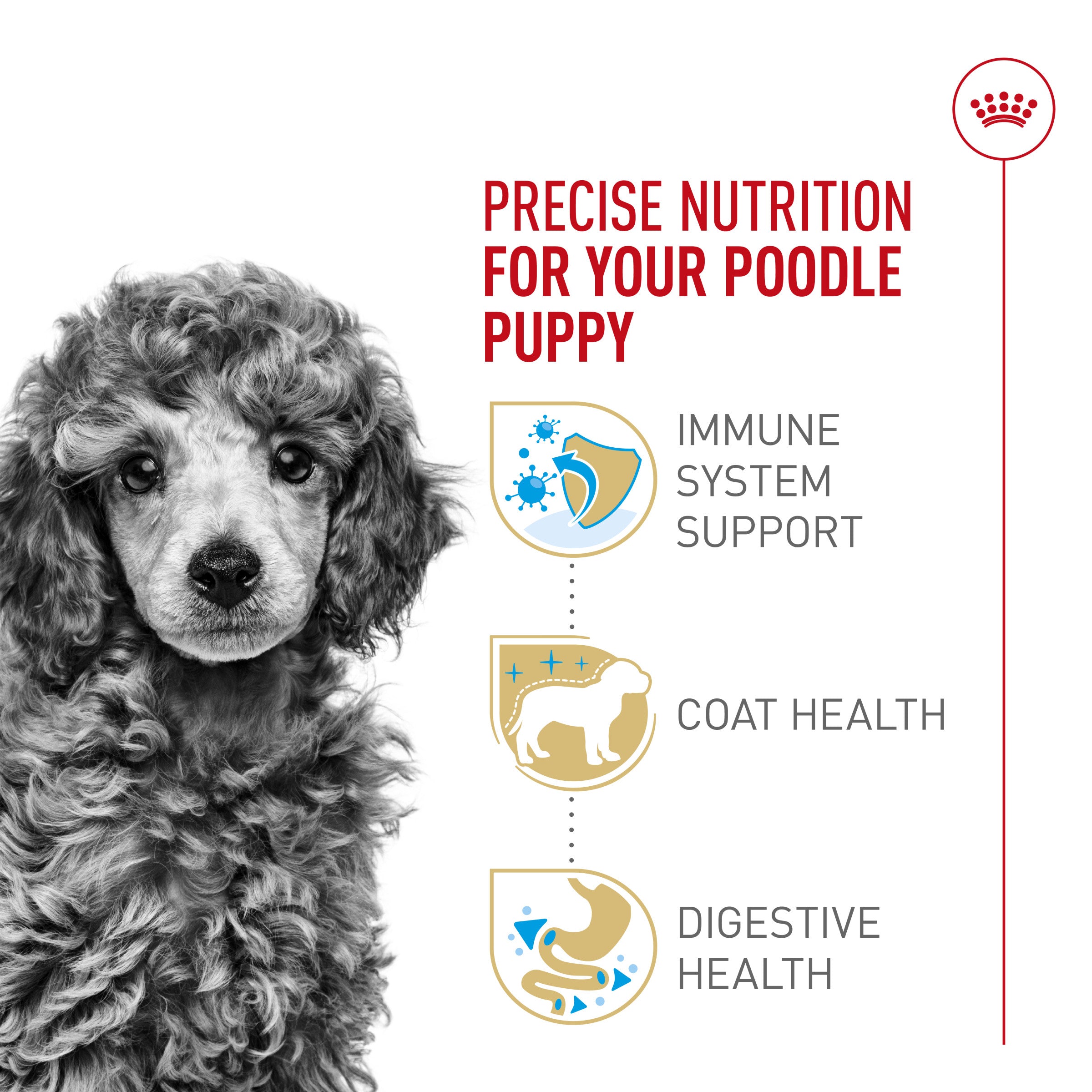Buy Royal Canin Puppy Food Poodle Online In Canada PetMax