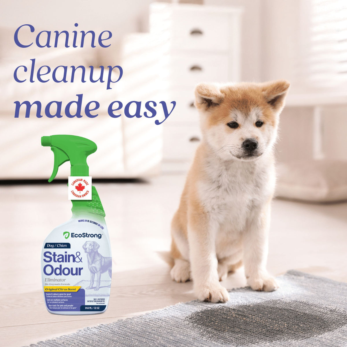 Eco Strong Dog Stain & Odor Sprayer