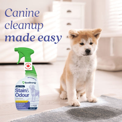 Eco Strong Dog Stain & Odor Sprayer