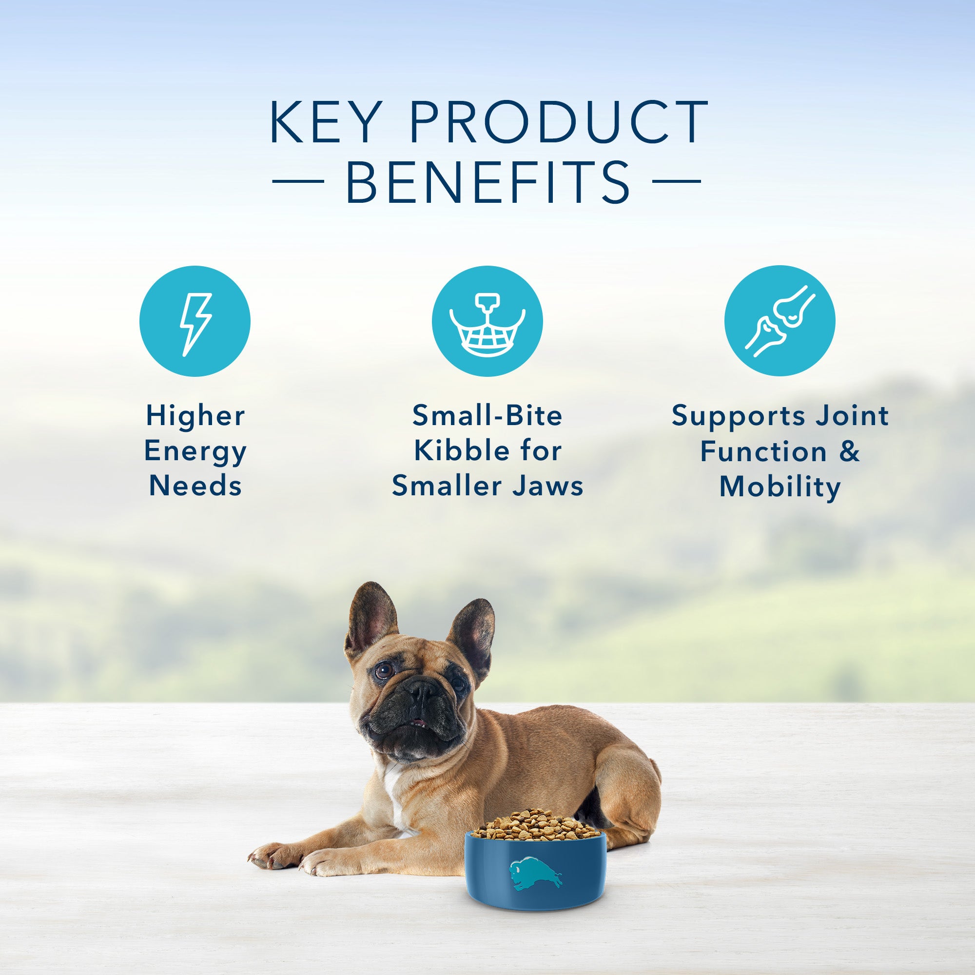 Blue Buffalo Life Protection Dog Food Small Breed Chicken & Rice - Image 5 - Blue Buffalo - PetMax Canada