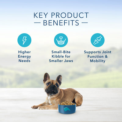 Blue Buffalo Life Protection Dog Food Small Breed Chicken & Rice - Image 5 - Blue Buffalo - PetMax Canada
