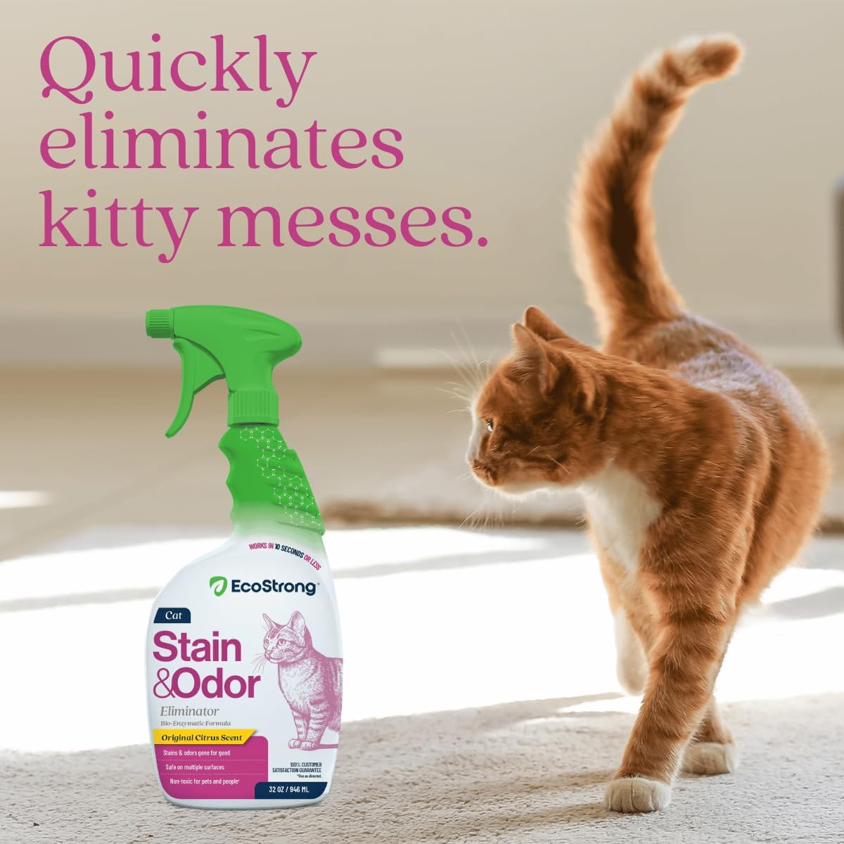 Eco Strong Cat Stain & Odor Sprayer