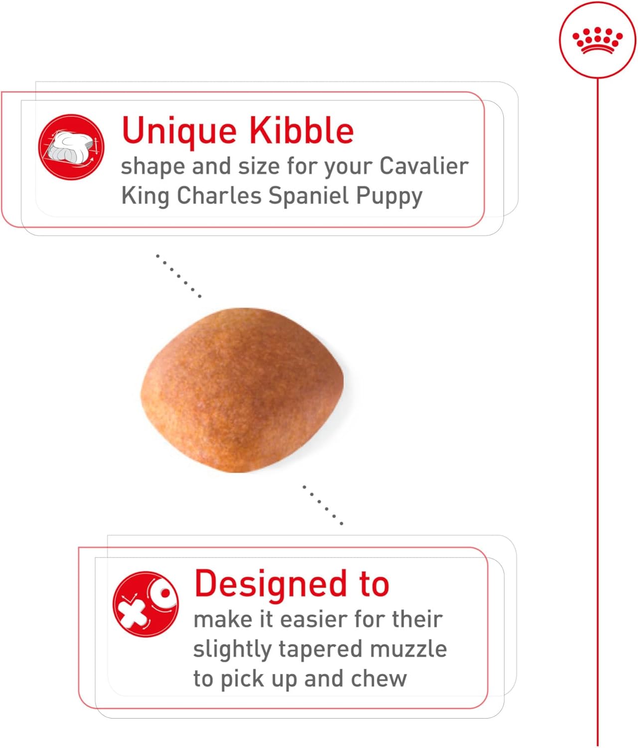 Royal Canin Breed Health Nutrition Cavalier King Charles Puppy Dry Dog Food