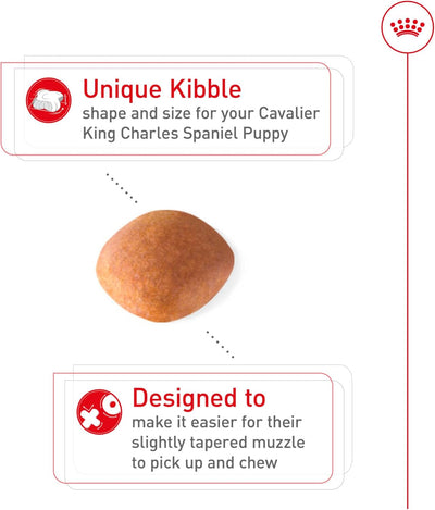 Royal Canin Breed Health Nutrition Cavalier King Charles Puppy Dry Dog Food