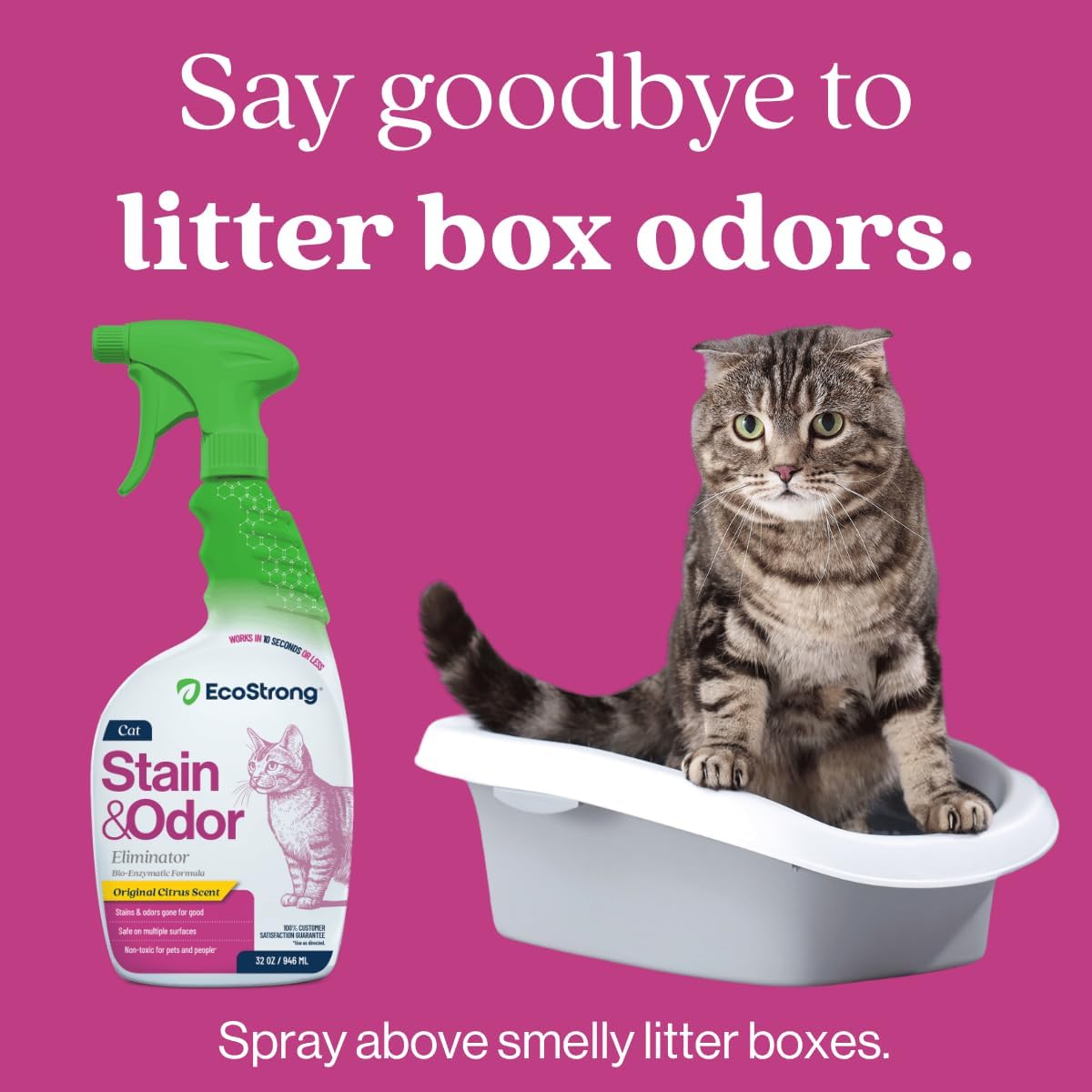 Eco Strong Cat Stain & Odor Sprayer
