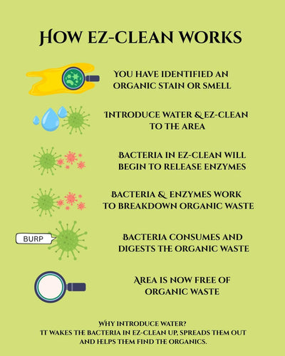 Ez-Clean Odour & Stain Remover Fragrance Free