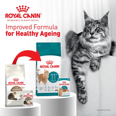 Royal Canin Aging 12+ Nourriture sèche pour chats adultes