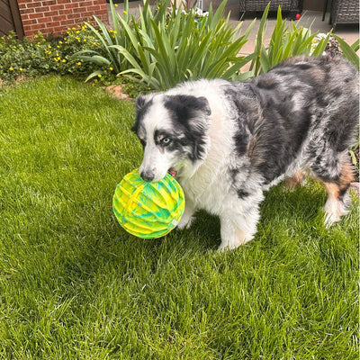 Kong Dog Flexball Sports Ball Extra Large