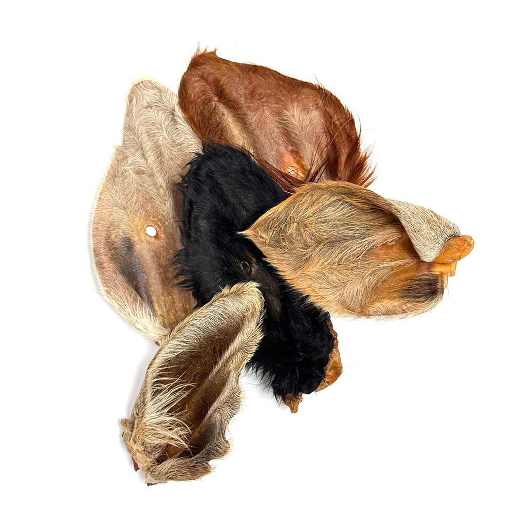 Bullsters Beef Ear with Fur Dog Chew - Loose Fur-On Beef Ears - Bullsters - PetMax Canada