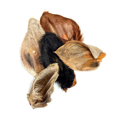 Bullsters Beef Ear with Fur Dog Chew - Loose Fur-On Beef Ears - Bullsters - PetMax Canada