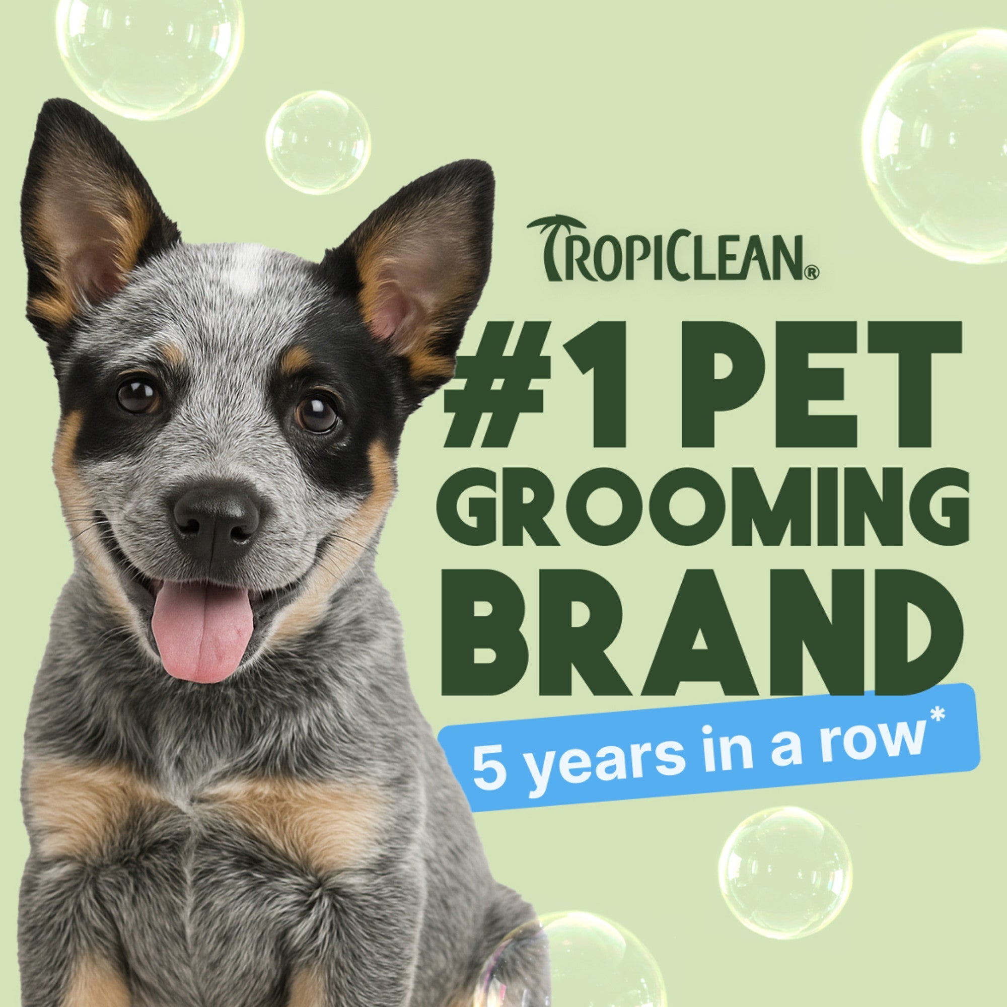 Tropiclean Shampoing Doux Noix de Coco