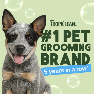 Tropiclean Shampoing Doux Noix de Coco