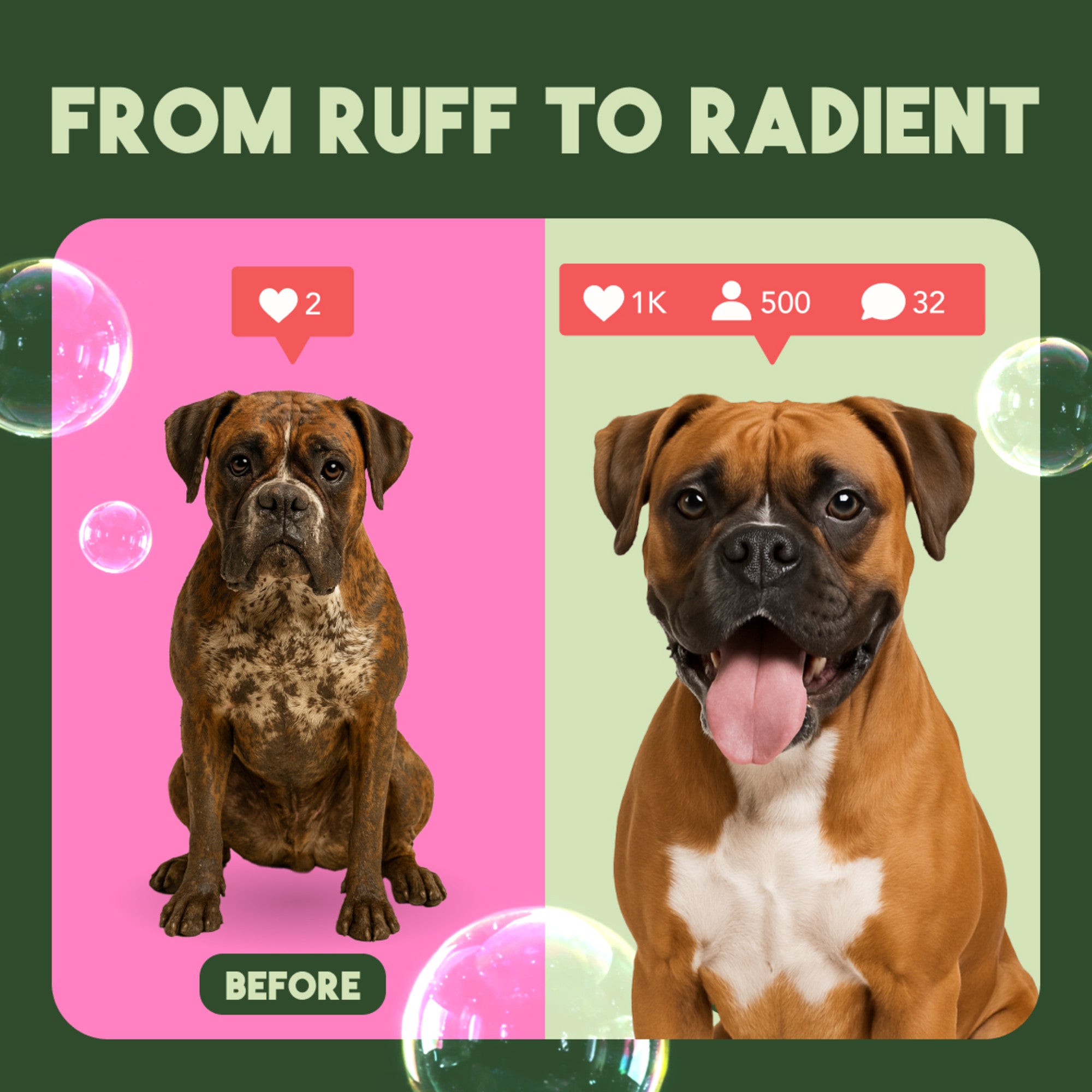 TropiClean Berry & Coconut Deep Cleansing Shampoo for Pets