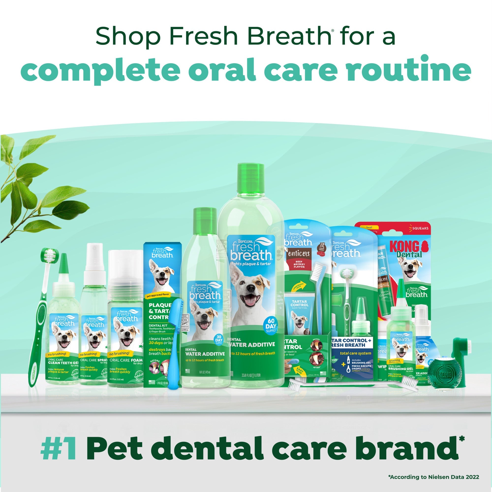 TropiClean Fresh Breath Plaque & Tartar Control Kit for Dogs