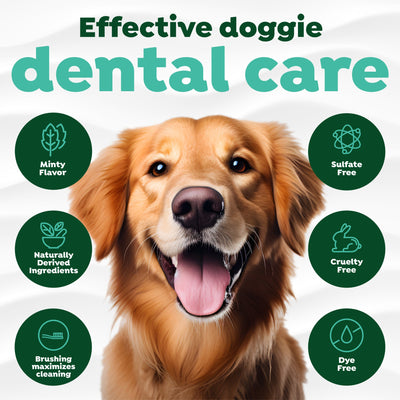 TropiClean Fresh Breath Plaque & Tartar Control Kit for Dogs