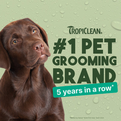 TropiClean Alcohol Free Ear Wash for Pets